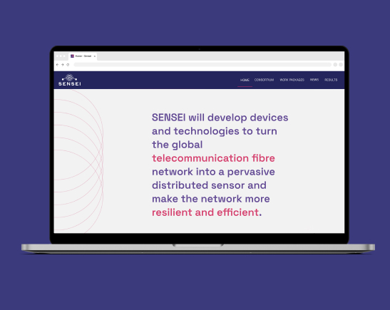 Sensei_15_Web Sensei_15_Web