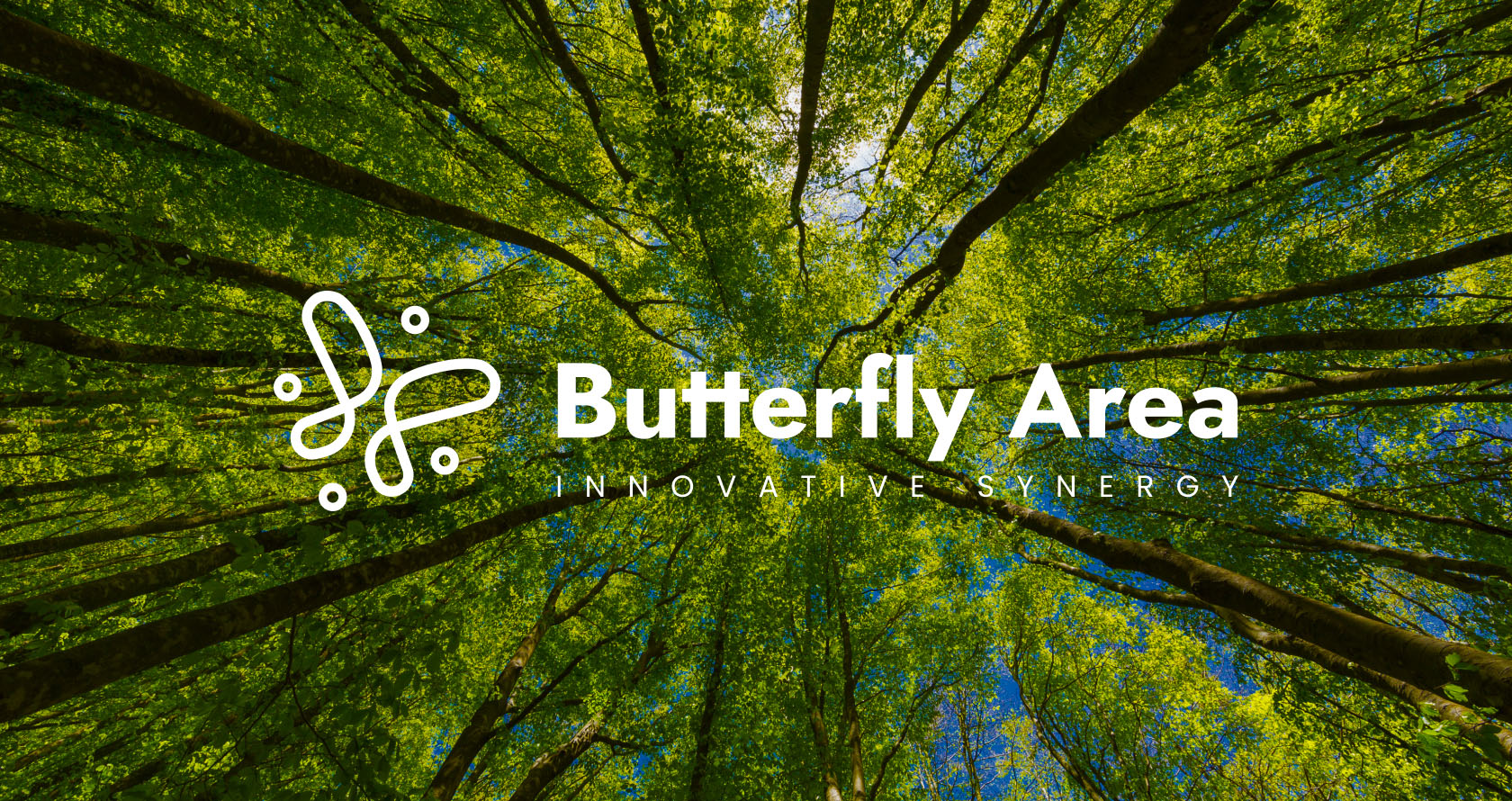 Butterfly Area