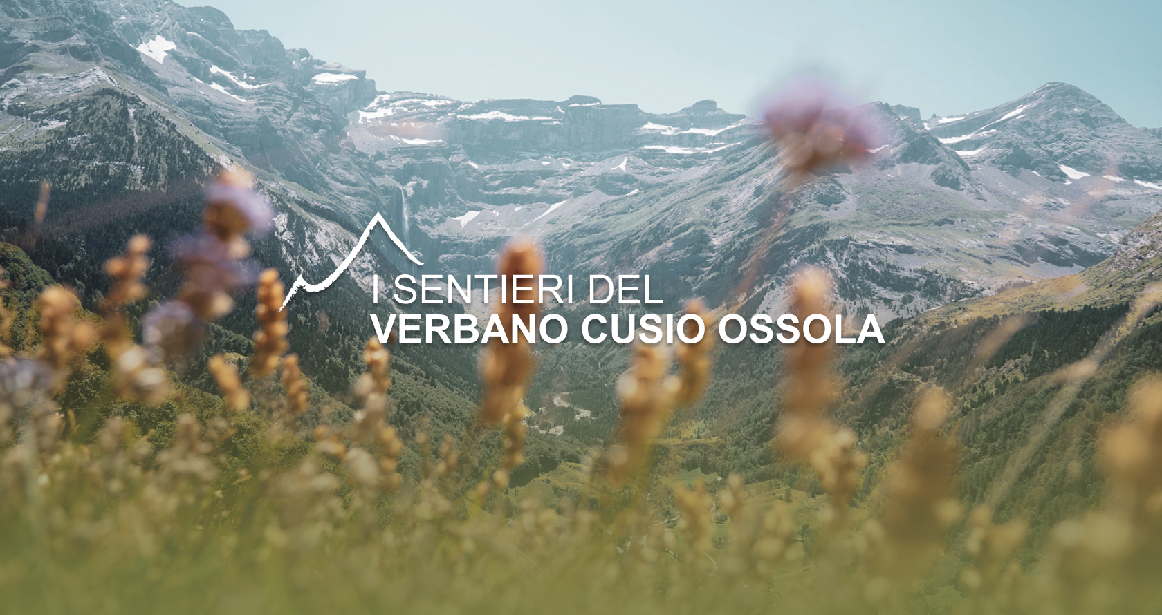 VCO_Visual