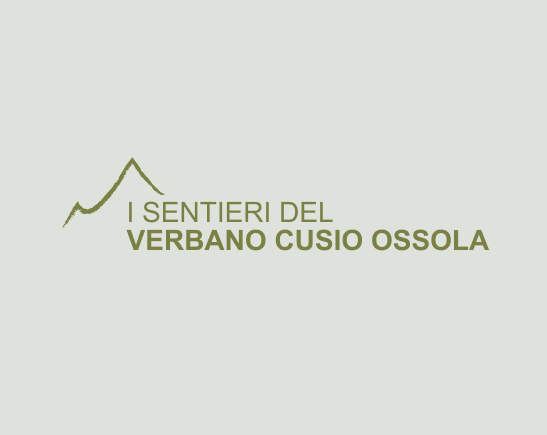VCO_Visual_Logo