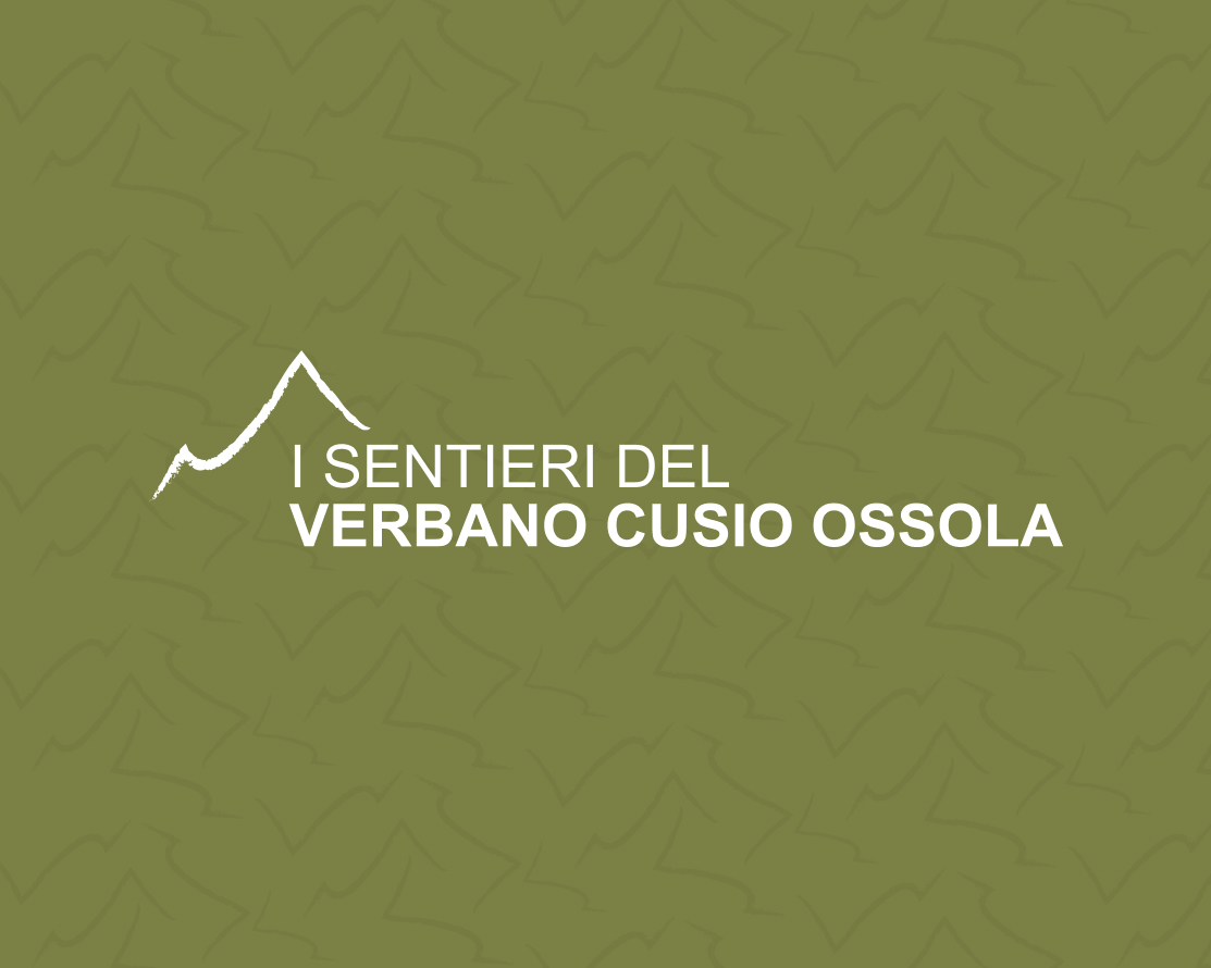 VCO_Visual_Pattern